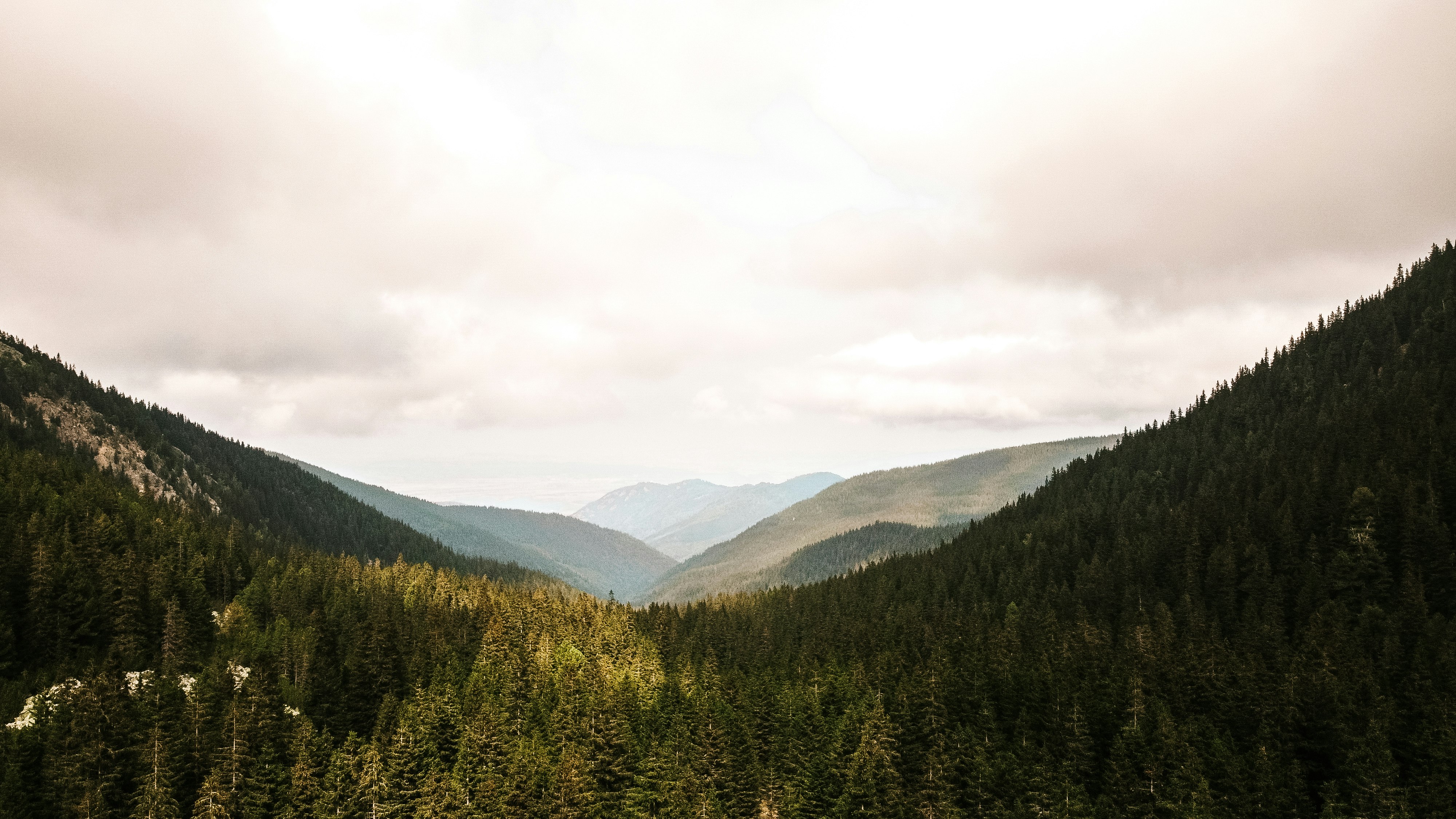 green trees on mountain under white sky during daytime